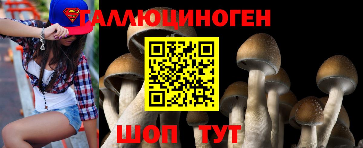 Строитель  Псилоцибиновые грибы Psilocybe  где можно купить   Псилоцибиновые грибы GOLDEN TEACHER  Вход с VPN 