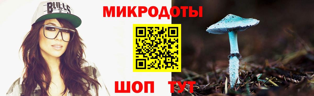 Псилоцибиновые грибы мицелий Строитель